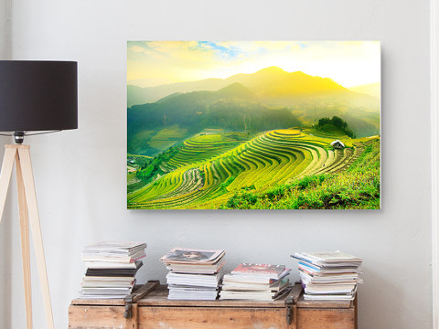 Reisfeld Buecher Lampe Frontal