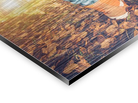 Feuilles sous les chaussures