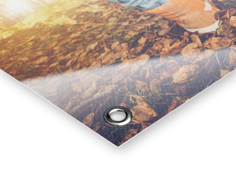 Feuilles sous les chaussures