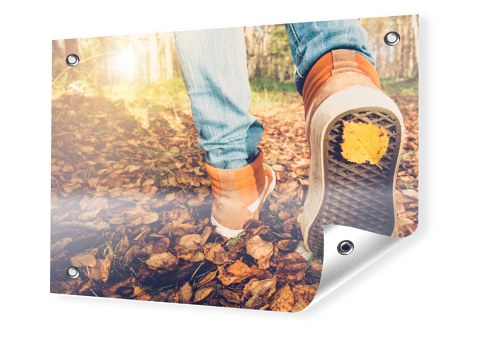 Feuilles sous les chaussures