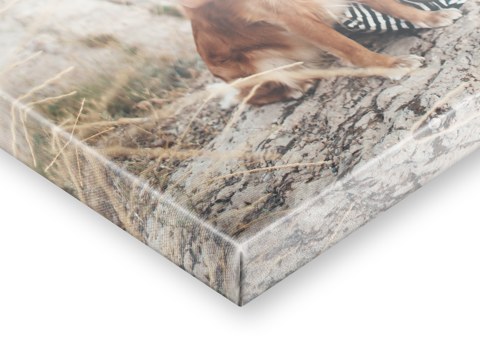 Frau mit Hund Wanderung