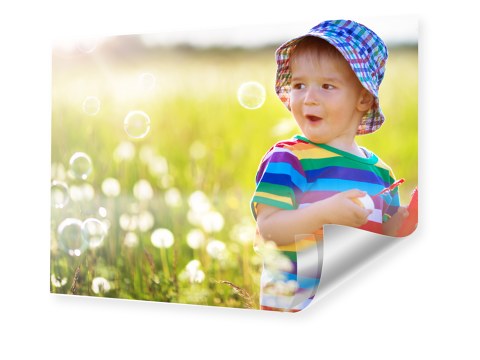 kind-poster-erstellen-lead