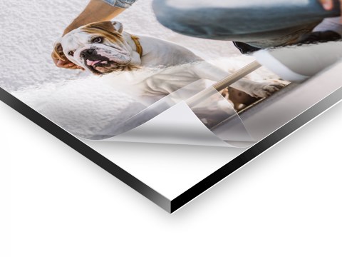 lead-image-08-2020-alu-dibond