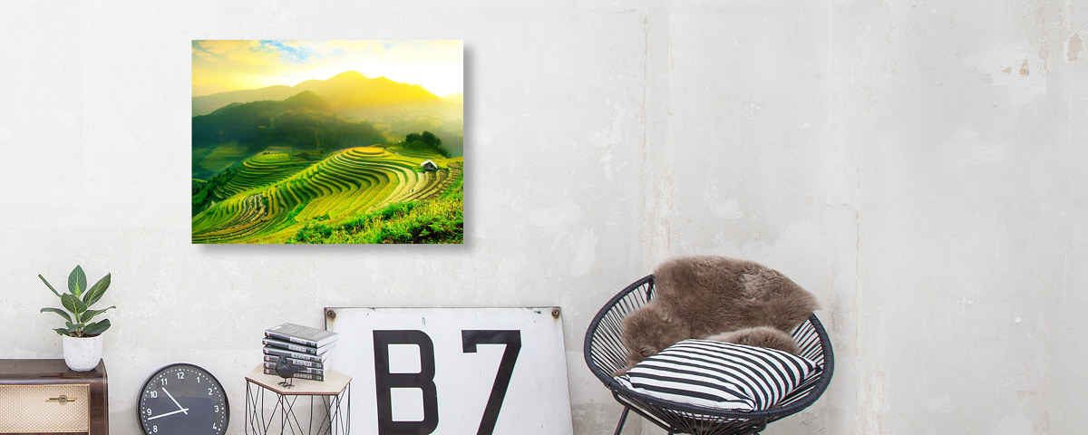 Champs de riz B7 Beton Frontal