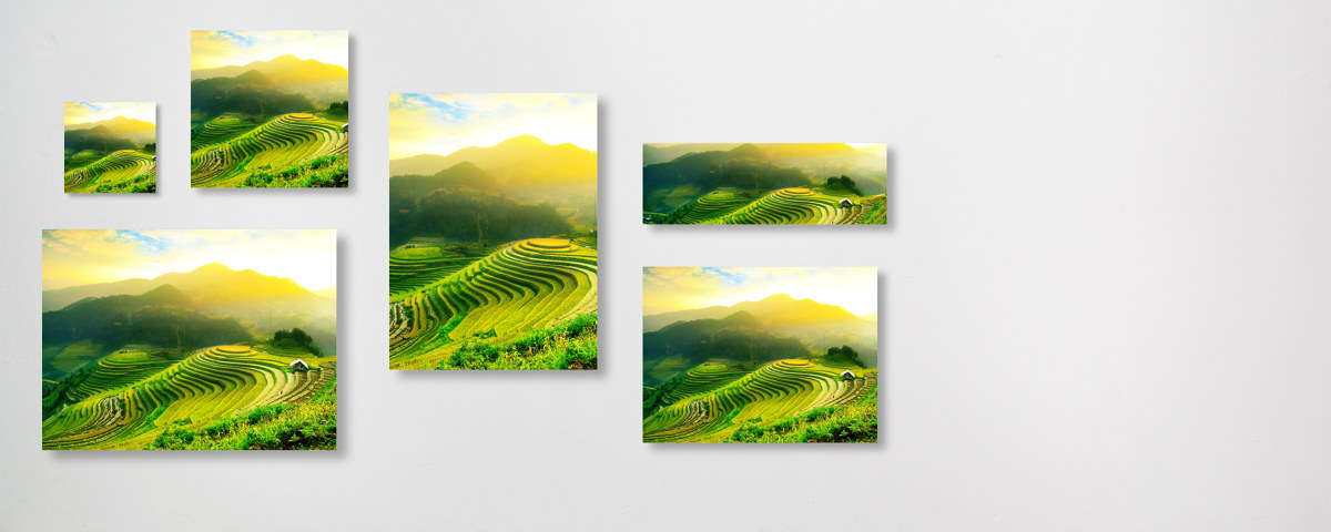 Champs de riz Collage sur le mur