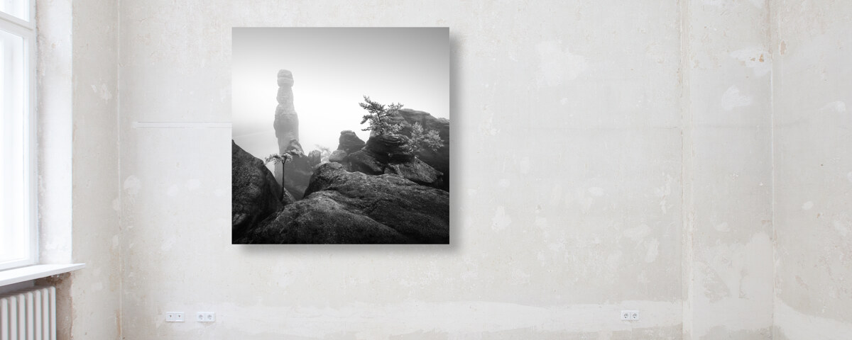 Barbarine III Elbsandsteingebirge