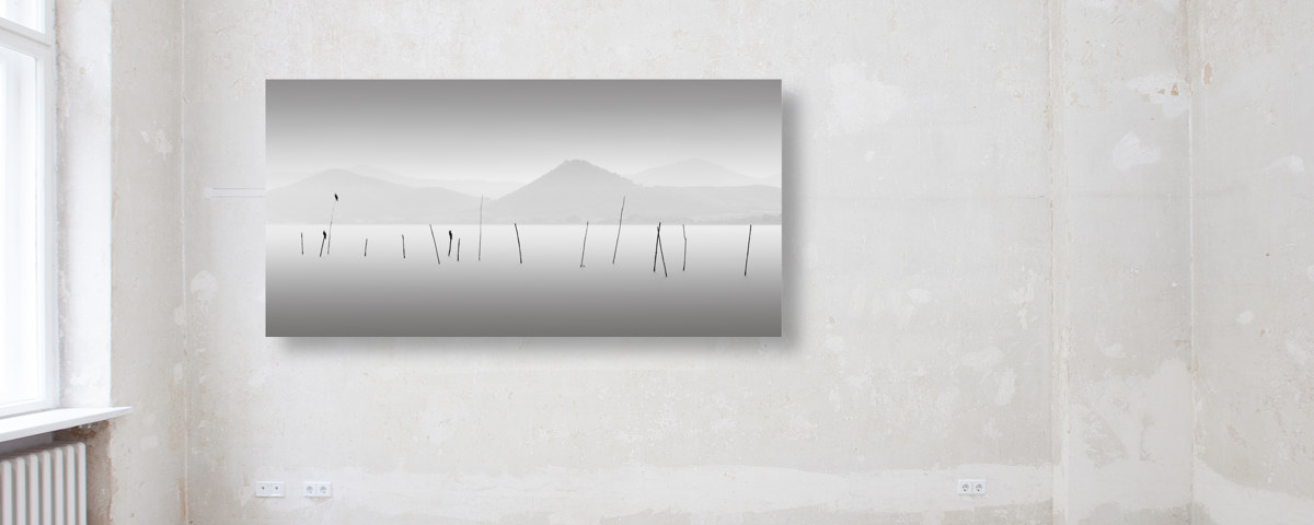 Four Birds - Lago Trasimeno Italien