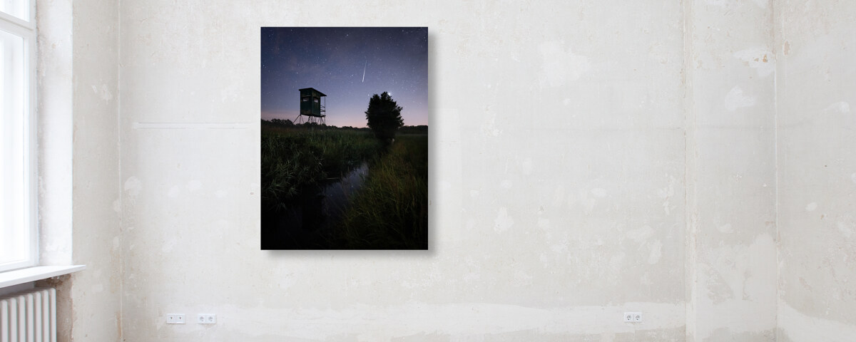 Perseids V Brandenburg