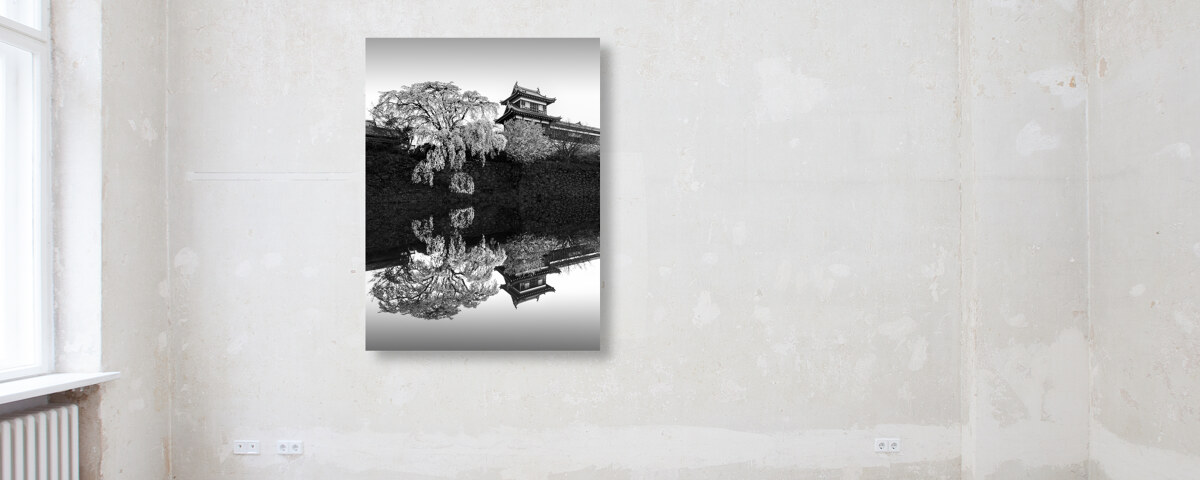 Sakura Koriyama Japan