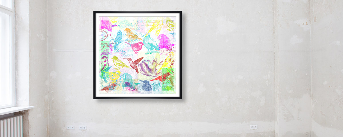 Bild Vögel Pop Art