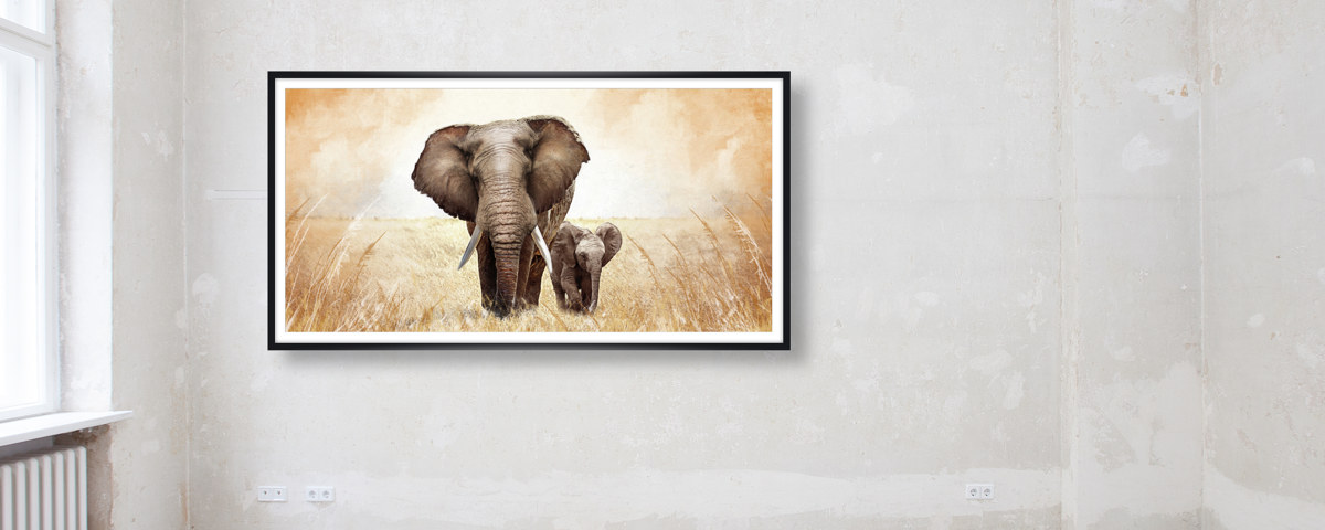 Bilder von Elefanten