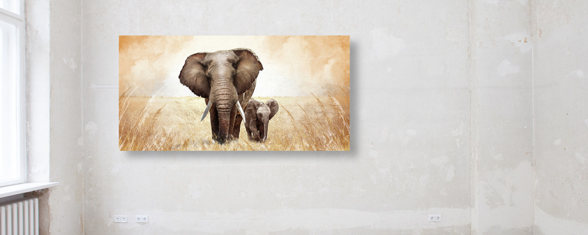 Bilder von Elefanten