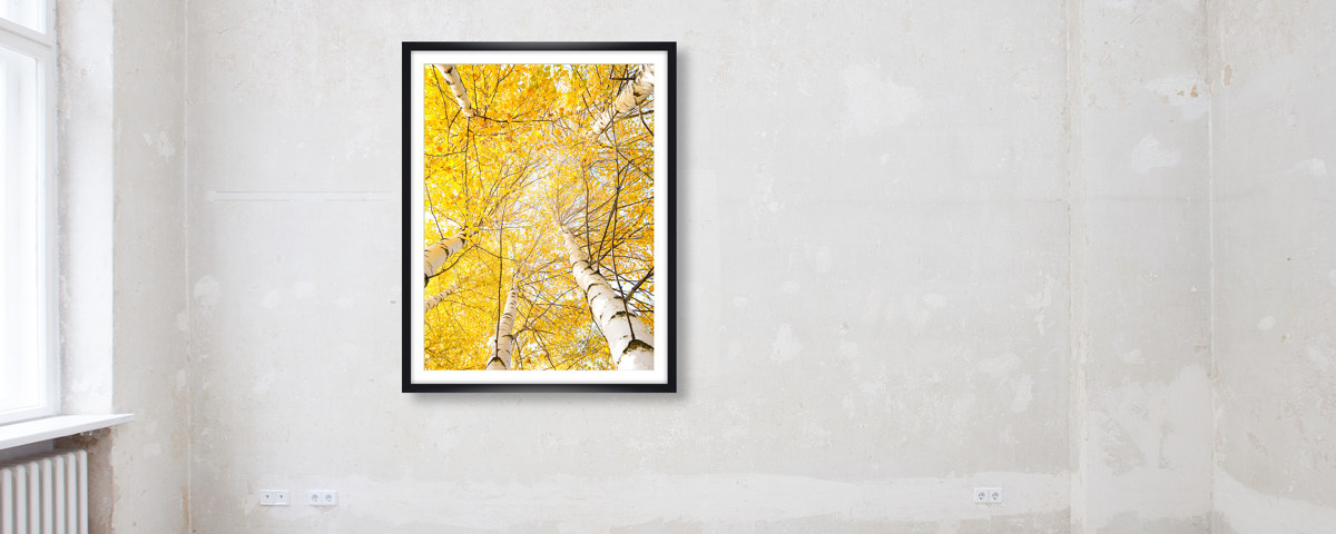Wandbild aus Plexiglas® Druck auf Acryl 125x50 Tiere Tiger auf Baum