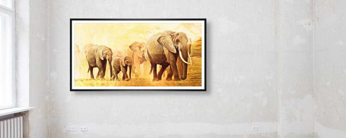 Images d'éléphants