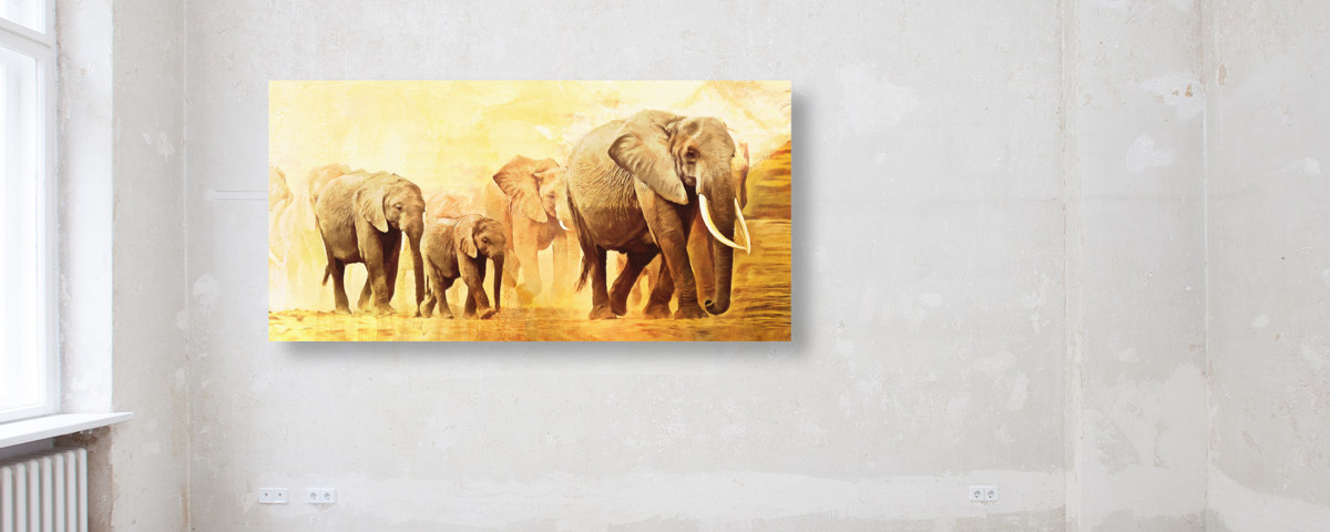 Images d'éléphants