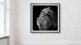 Lion Bilder
