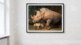 Photo de rhinocéros