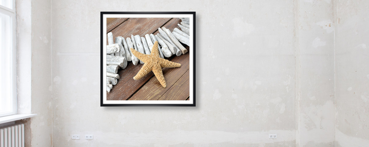 Photo d'étoile de mer