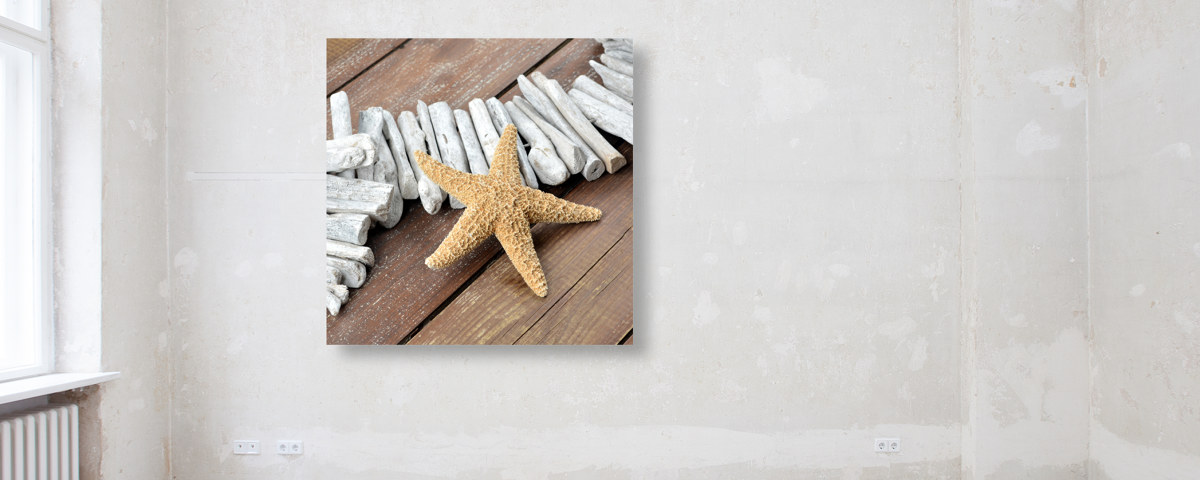 Photo d'étoile de mer