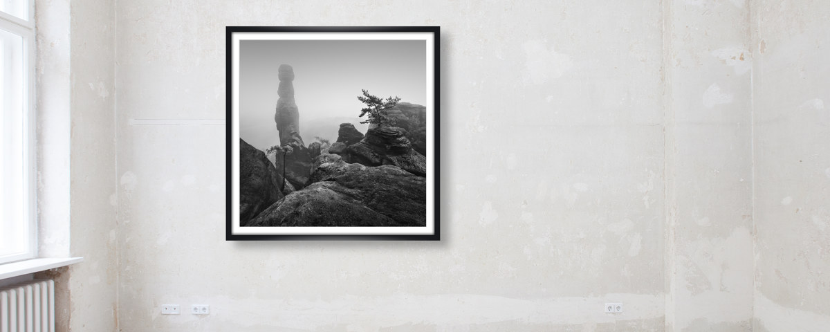 Barbarine im Nebel - S