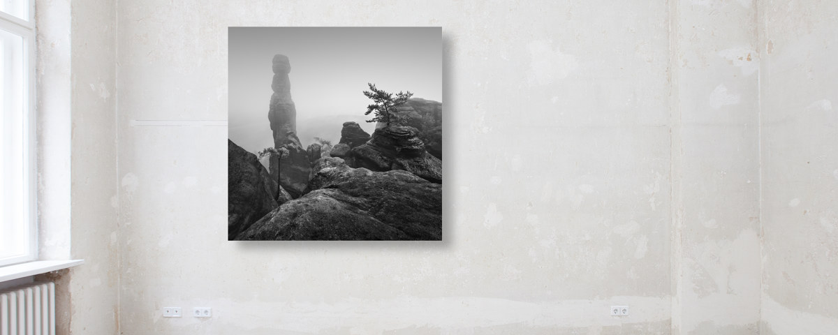 Barbarine im Nebel - S