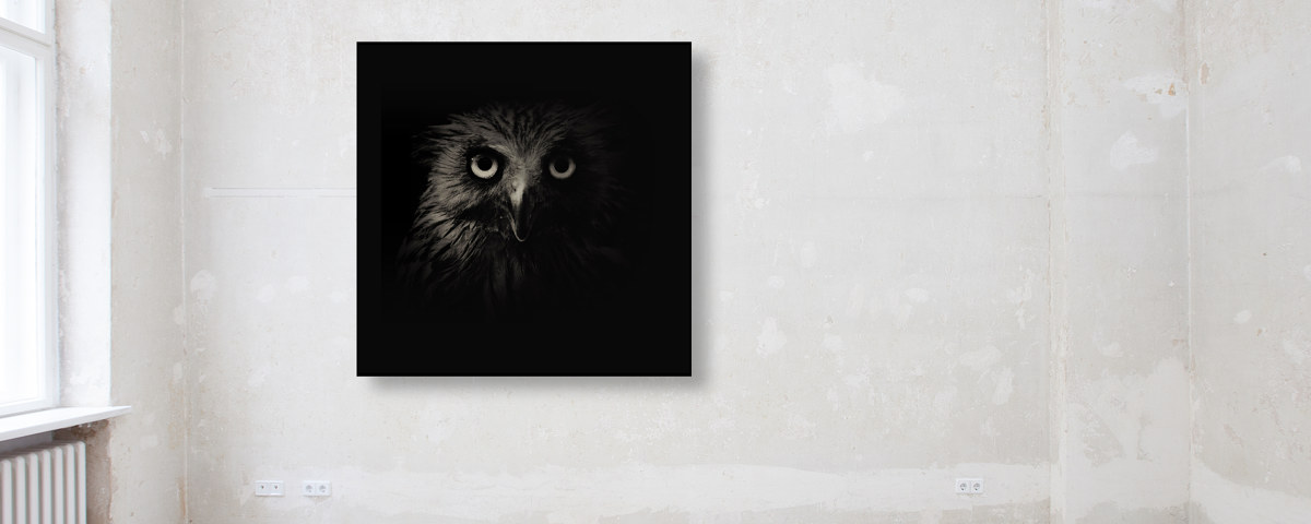 Portait de grand-duc