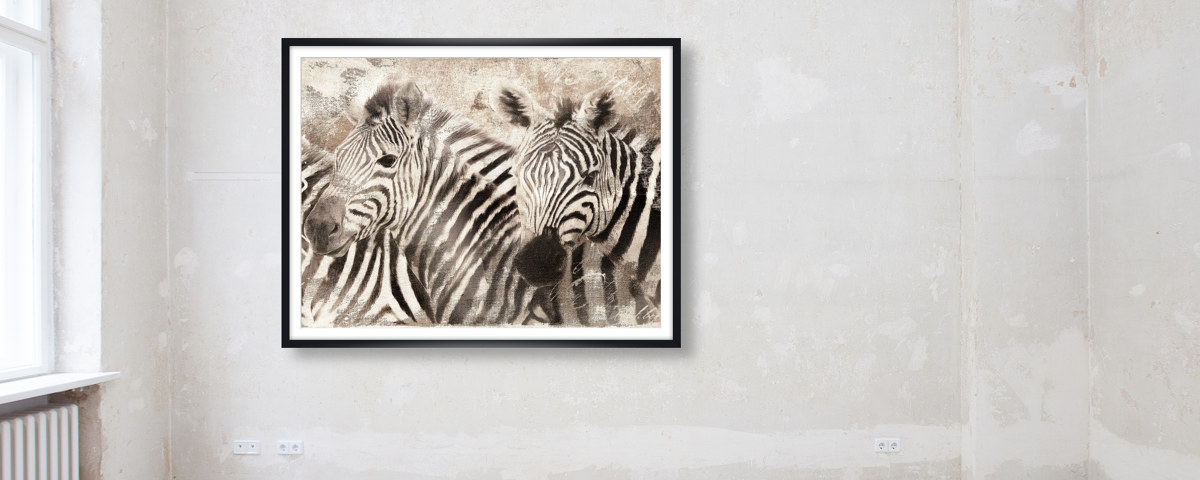 Zebra Bilder
