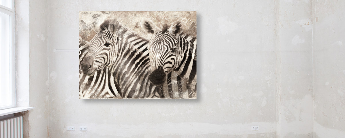 Zebra Bilder
