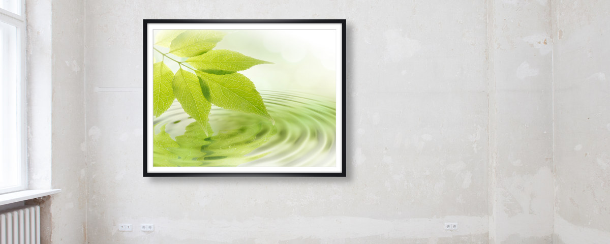 Photo de feuille zen