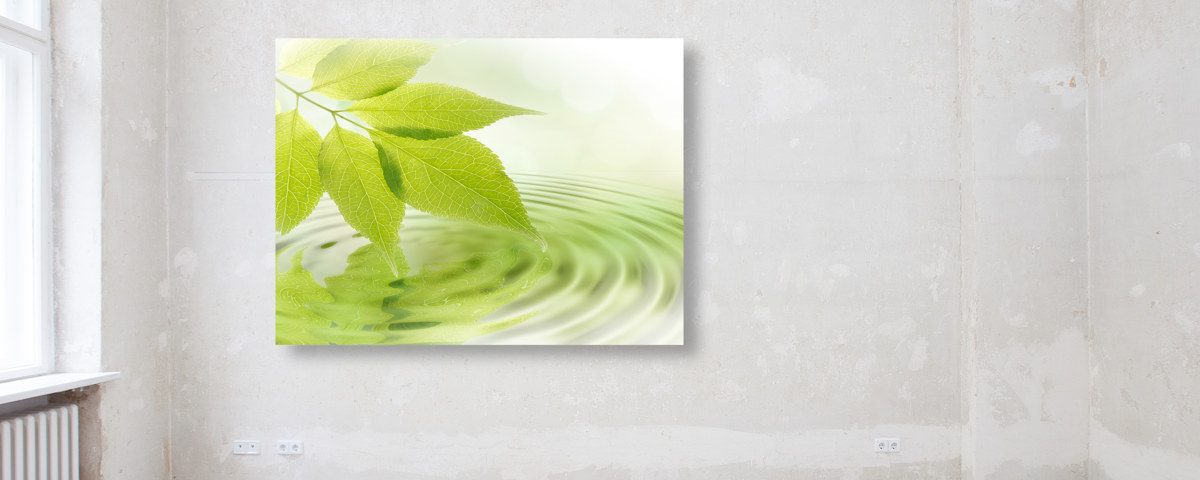 Photo de feuille zen