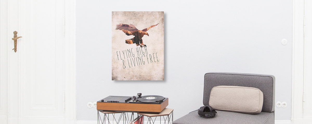 Flying high living free