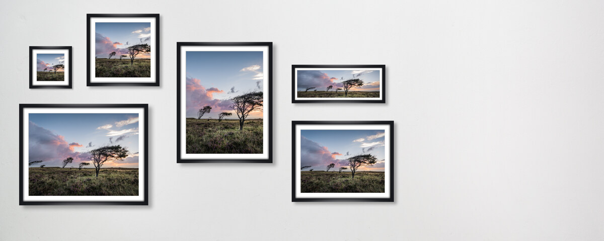 Braderuper Heide Sylt