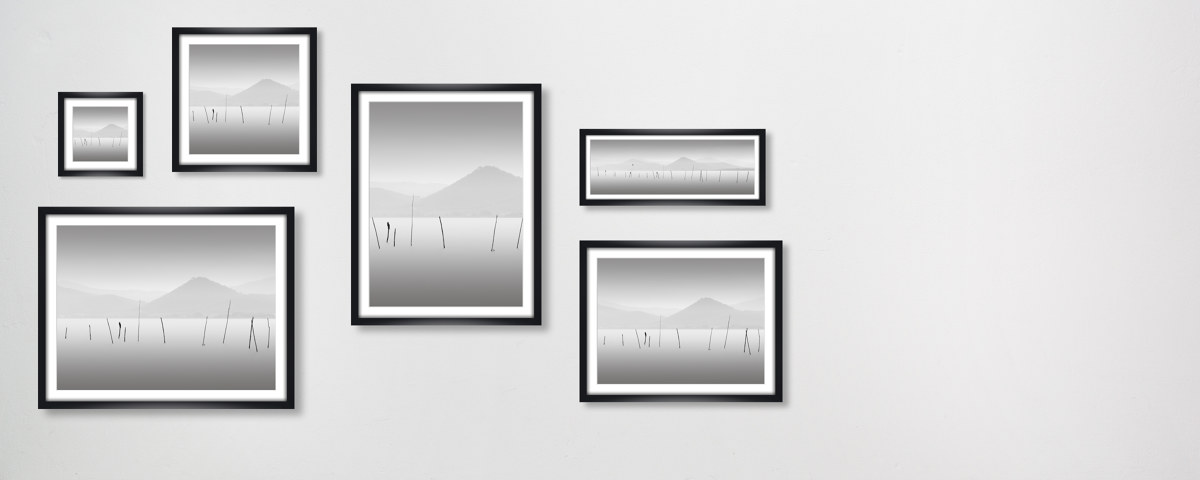 Four Birds - Lago Trasimeno Italien