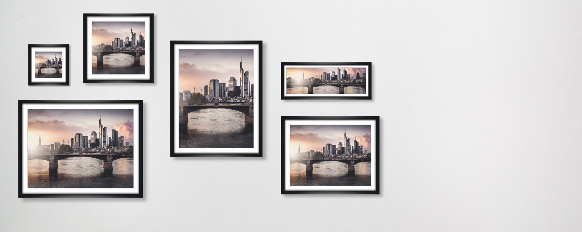 Frankfurt Main Study 2