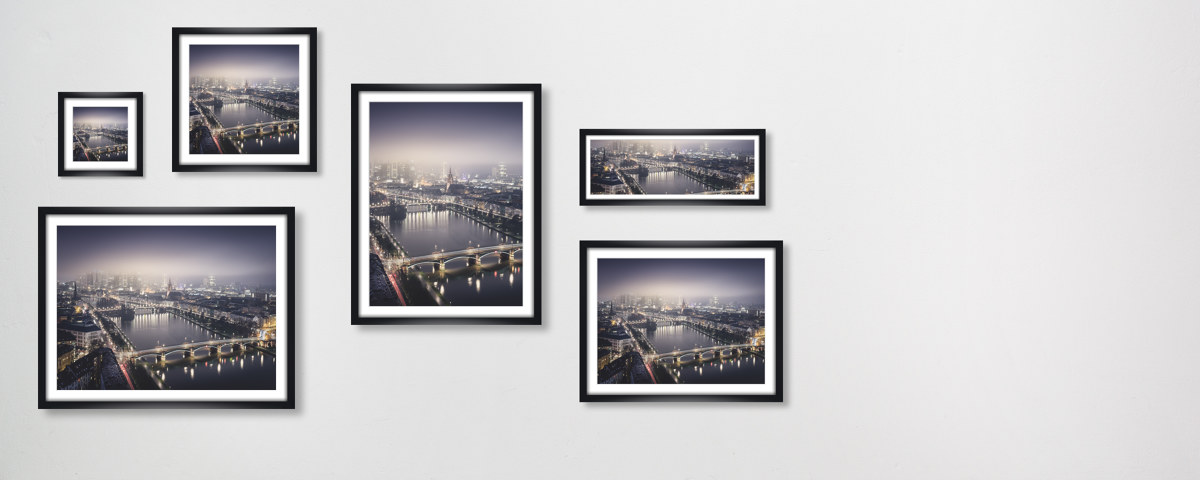 Frankfurt Main Study