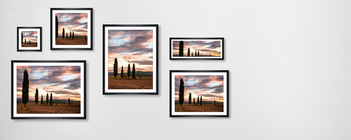 Zypressenblick in der Toskana