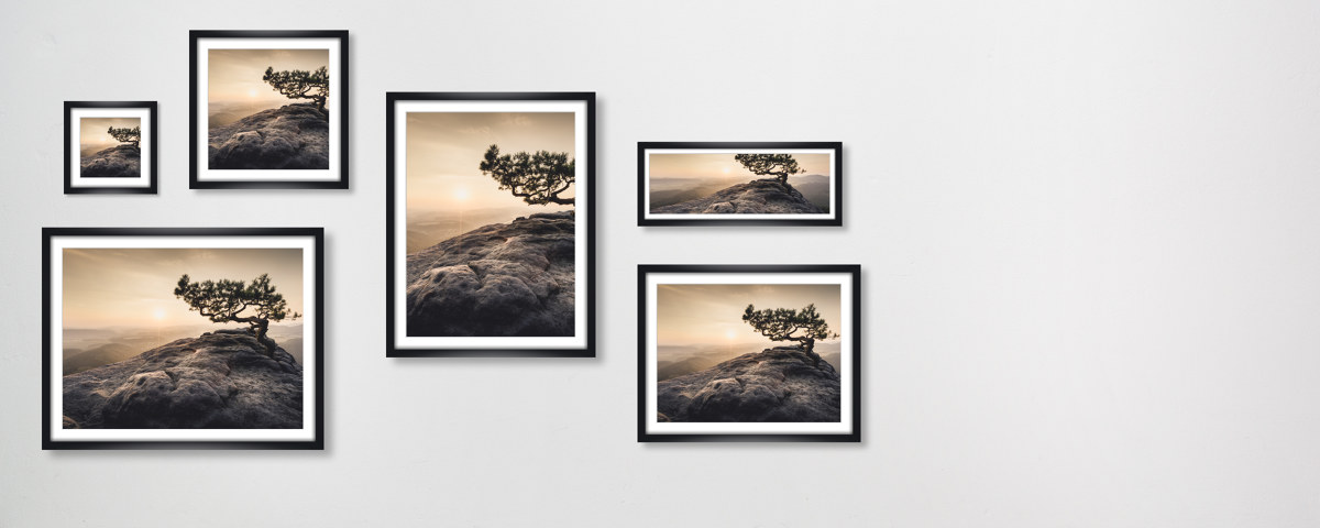 Heimat der Sonne Saechsische Schweiz Lilienstein