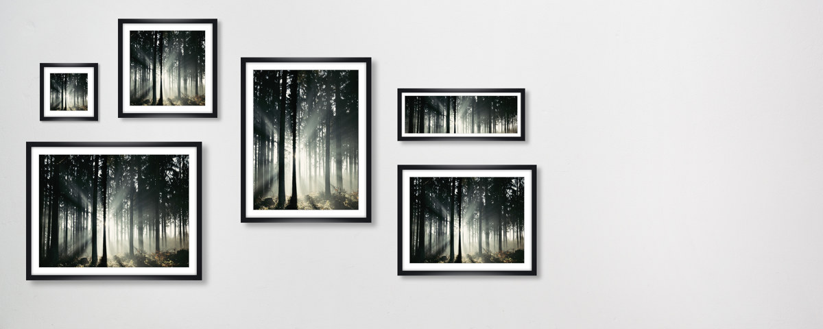 Lichtstrahlen im Teutoburger Wald