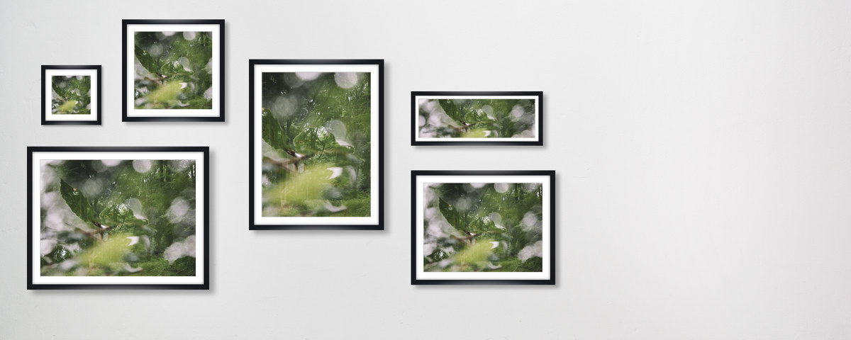 Sommer im Teutoburger Wald