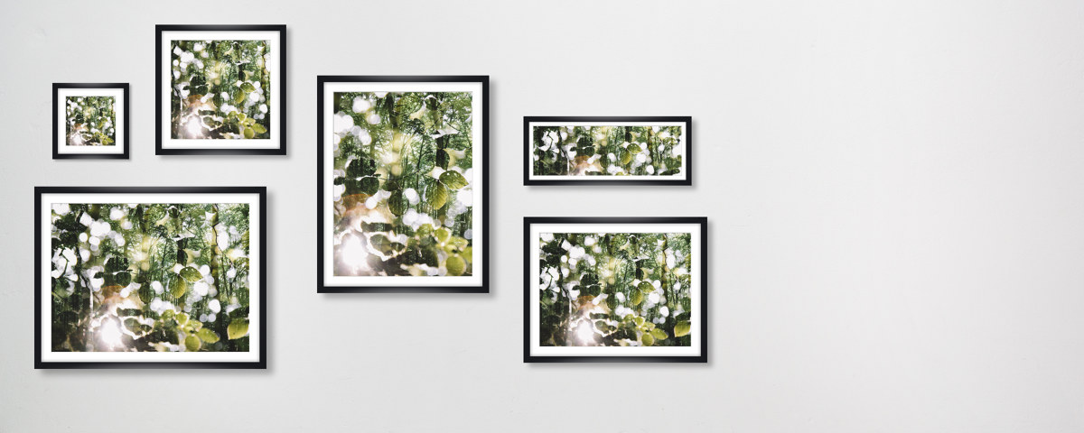 Leuchtendes Laub im Wald