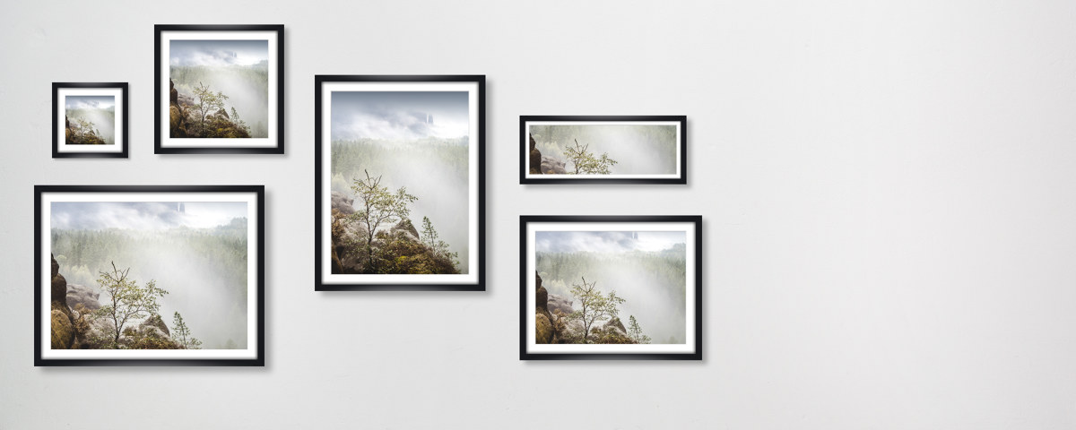 Neuer Wildenstein Saechsische Schweiz