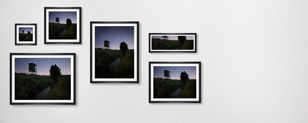 Perseids V Brandenburg