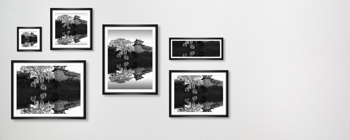 Sakura Koriyama Japan