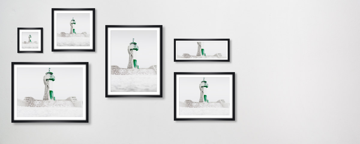 The crowned king - Sassnitz auf Ruegen