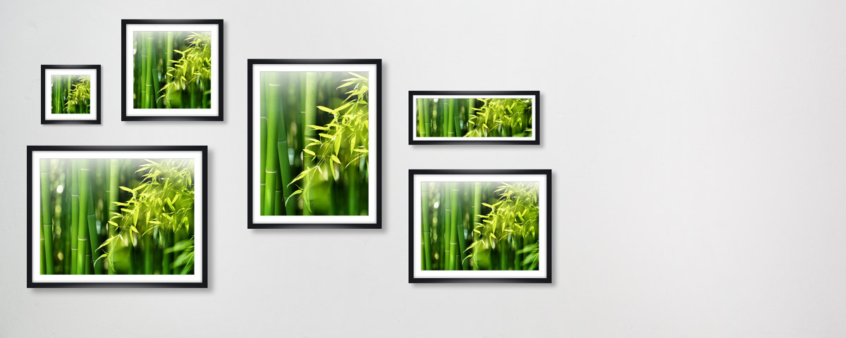 Bambusbild