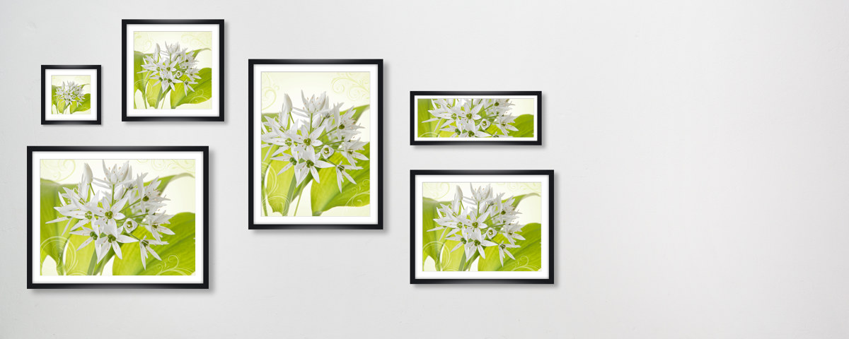 Harmonie de fleurs blanches