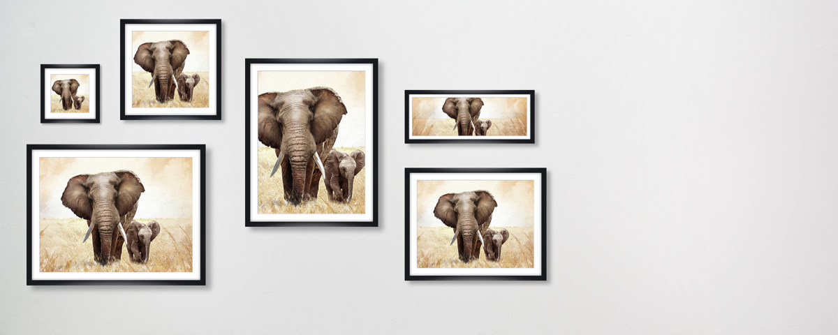 Bilder von Elefanten