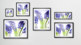 Photos de fleurs bleues