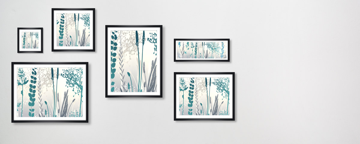 Photos de fleurs multicolores