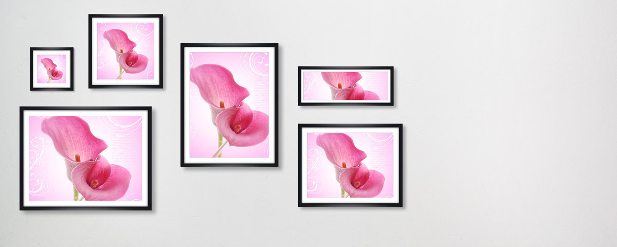 Calla Poster